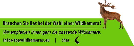 Brauchen Sie Rat bei der Wahl einer Wildkamera